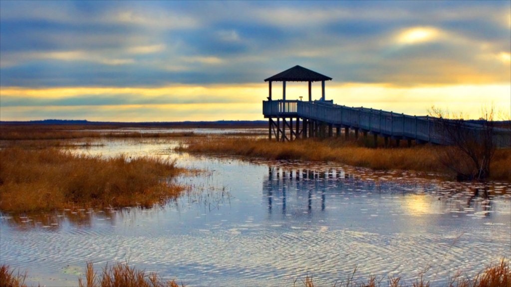 Lake Charles which includes views, wetlands and a sunset