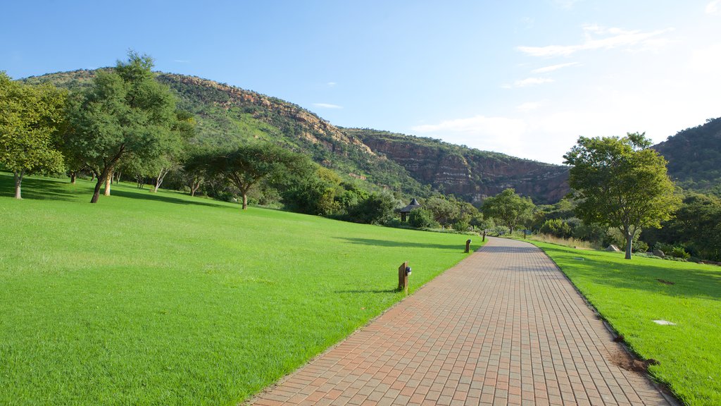 Jardim Botânico Walter Sisulu que inclui um parque