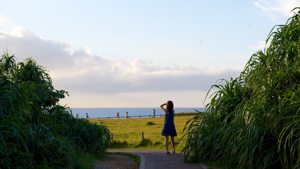 Cape Manza ofreciendo vistas generales de la costa y también una mujer