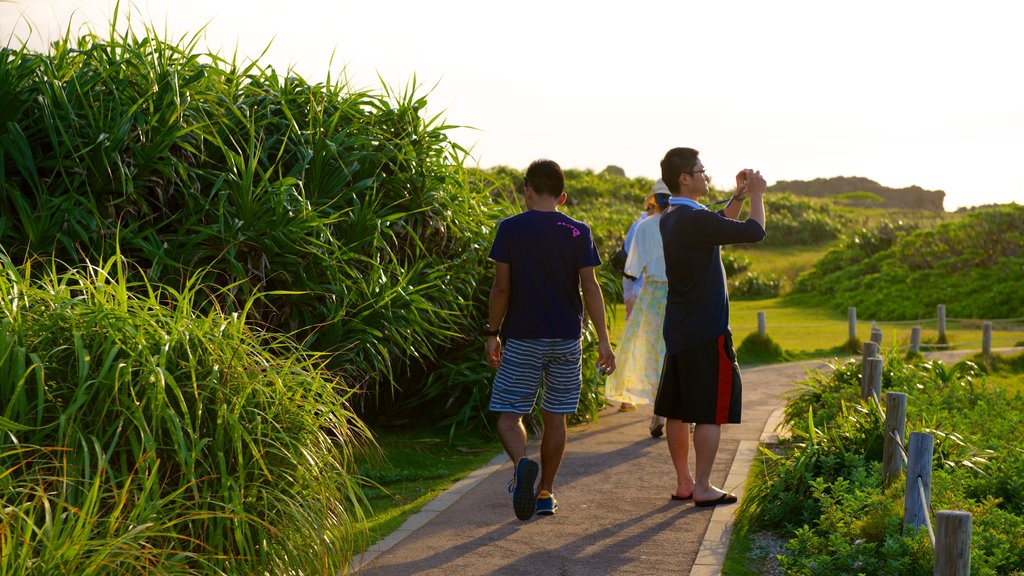 Cape Manza featuring a park as well as a small group of people