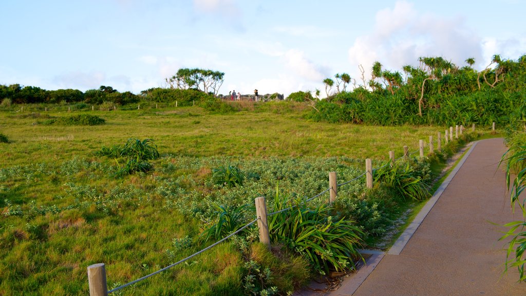 Cape Manza which includes tranquil scenes