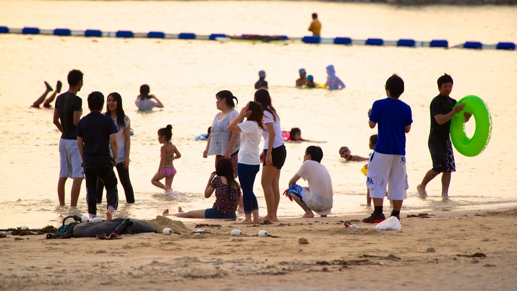 Okinawa showing a sandy beach as well as a large group of people