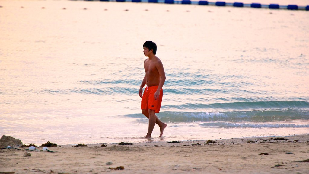 Okinawa featuring a beach as well as an individual male