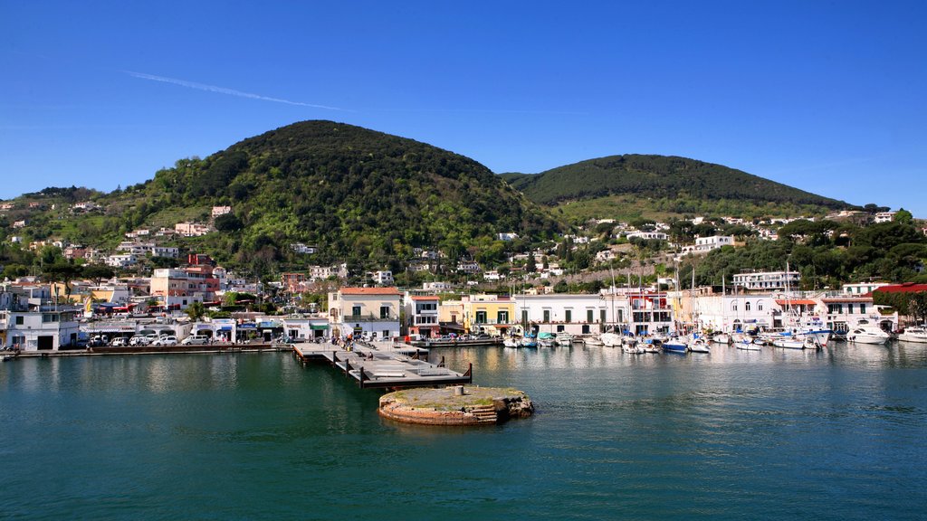 Ischia som viser en marina og en kystby