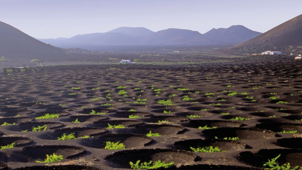 Lanzarote which includes farmland