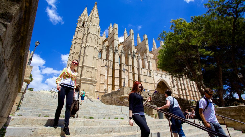 Mallorca Katedral som viser historiske bygningsværker