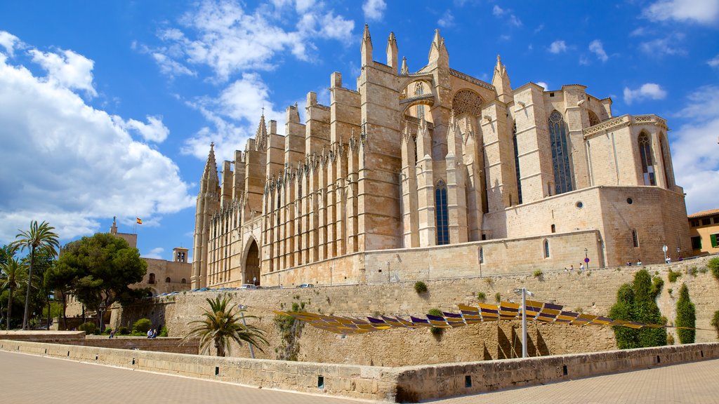 Catedral de Mallorca mostrando uma igreja ou catedral, elementos religiosos e arquitetura de patrimônio