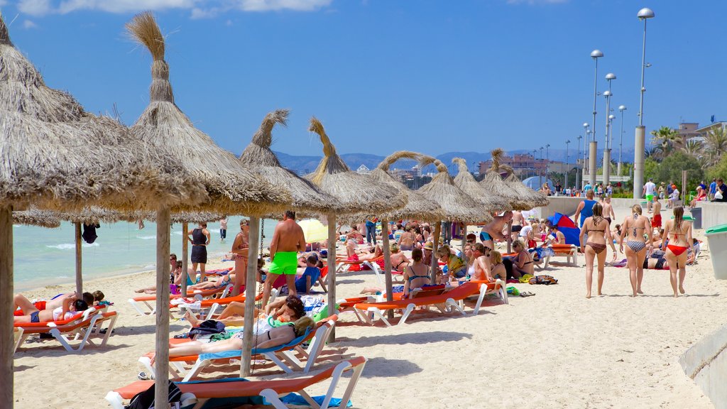 El Arenal showing a beach as well as a large group of people