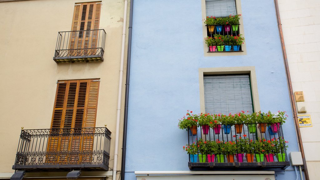 Granollers 设有 街道景色, 花朵 和 房屋