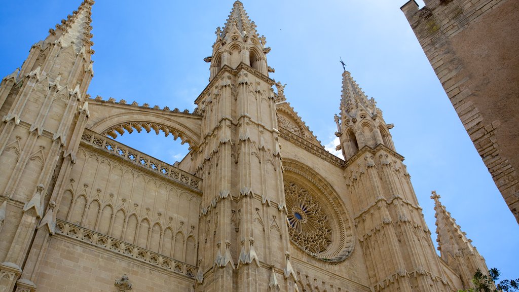 Kathedraal van Mallorca bevat een kerk of kathedraal, religieuze elementen en historische architectuur