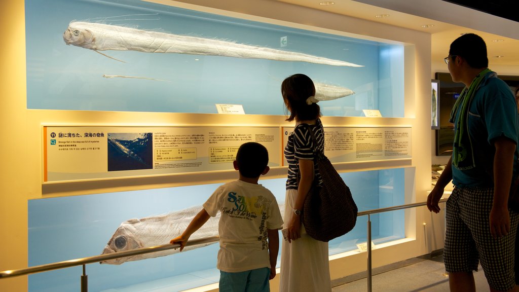 Okinawa Churaumi Aquarium featuring marine life and interior views as well as a family