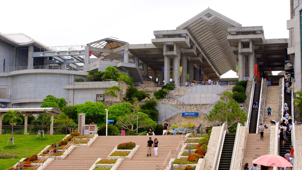 Aquário Okinawa Churaumi que inclui vida marinha