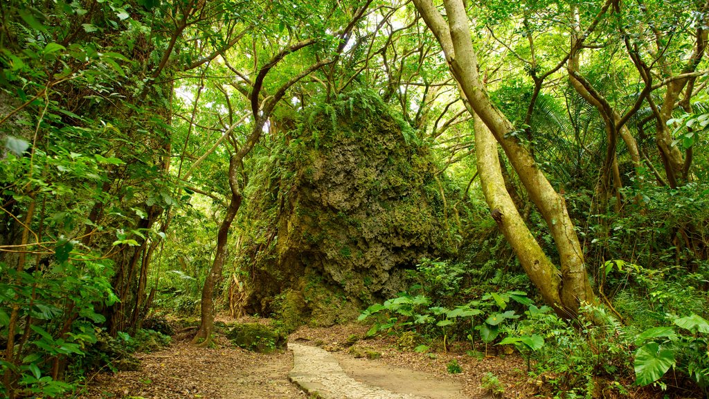 Sefa Utaki menampilkan hutan hujan