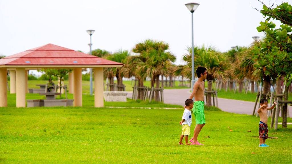 Okinawa que inclui um jardim