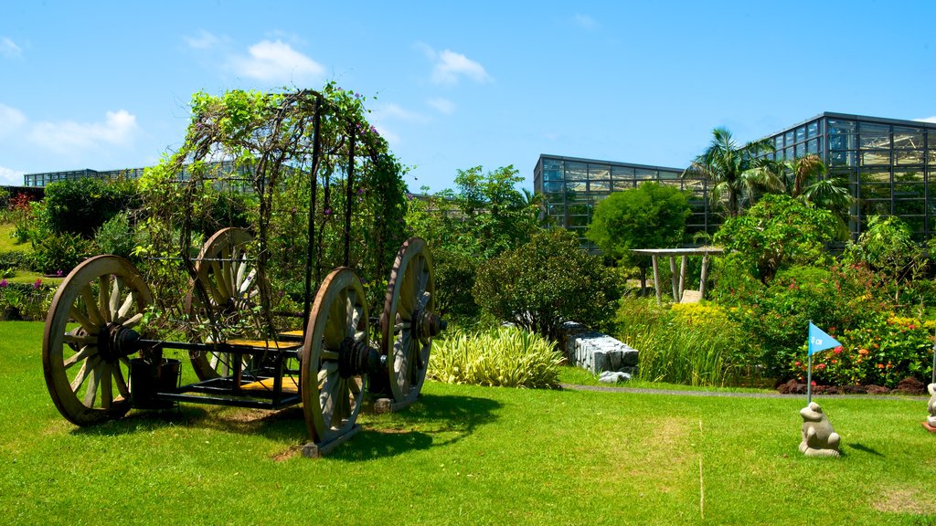 Okinawa mostrando arte al aire libre y un parque