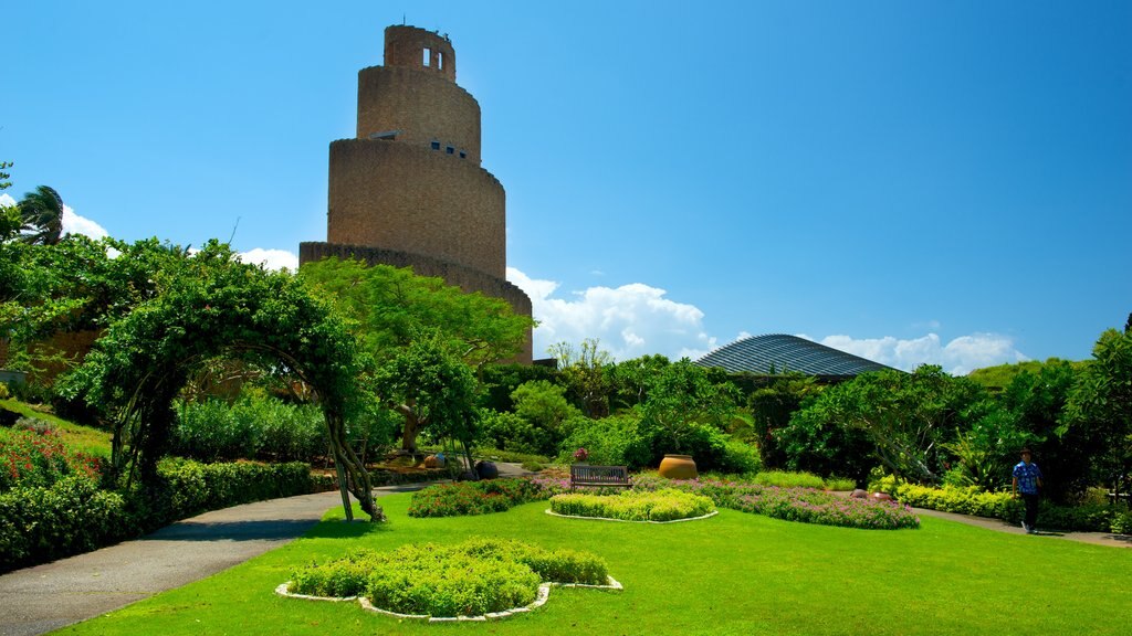 Okinawa ofreciendo jardín