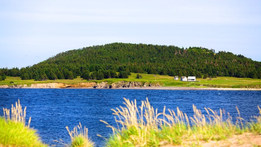 Ingonish presenterar en hamn eller havsbukt