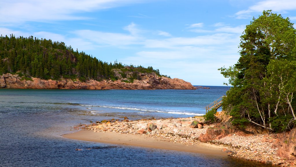 Cape Breton Island showing rocky coastline