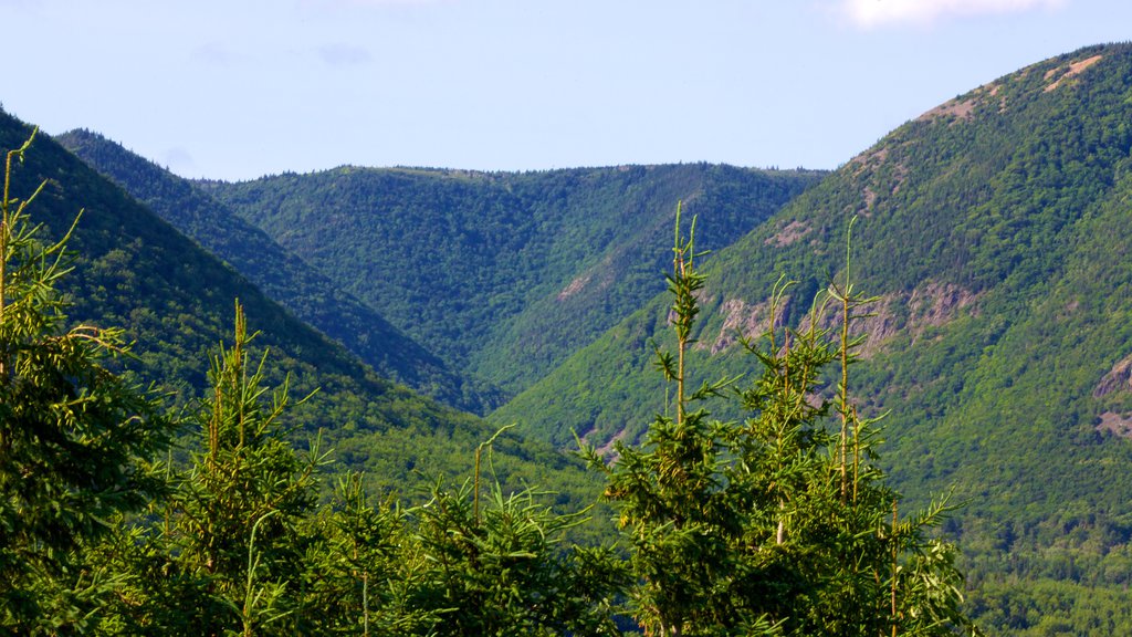 Parc national des Hautes-Terres-du-Cap-Breton qui includes montagnes