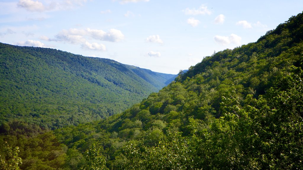 Cape Breton Highlands National Park que inclui montanhas