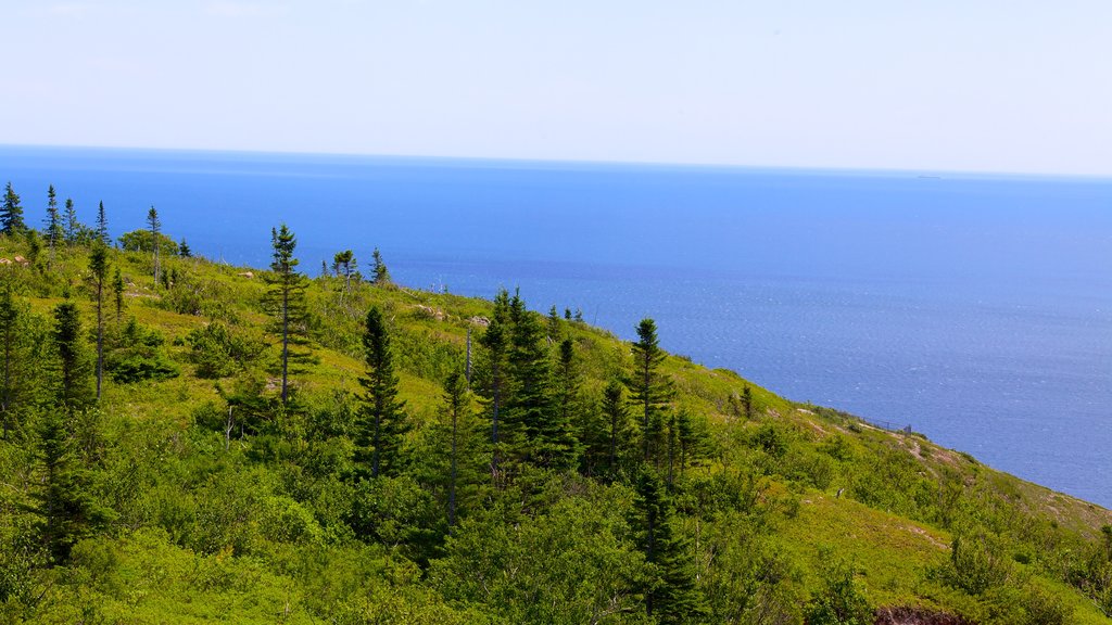 Cape Smokey showing general coastal views