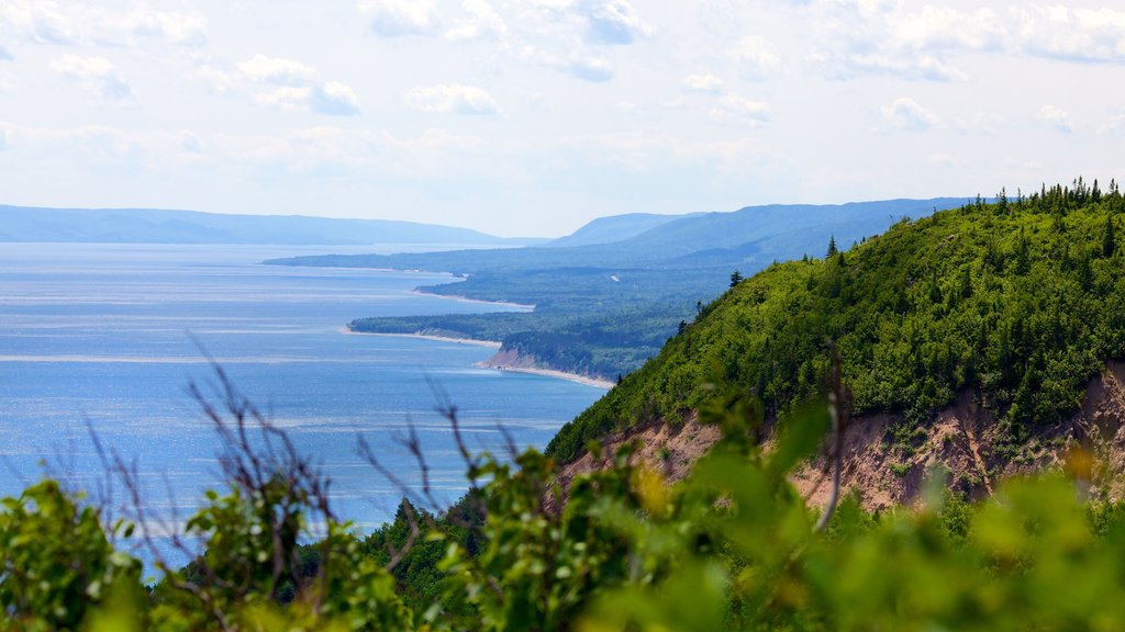 Cape Smokey mostrando vistas generales de la costa