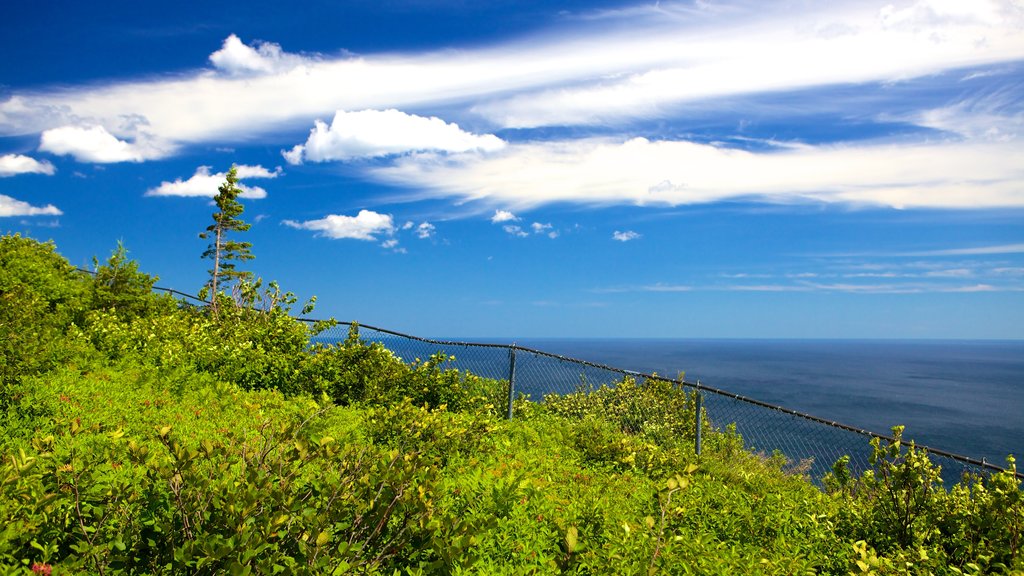 Cape Smokey que incluye vistas generales de la costa