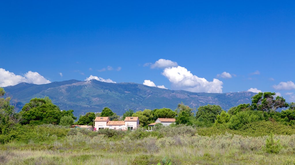 Plage de La Marana qui includes maison