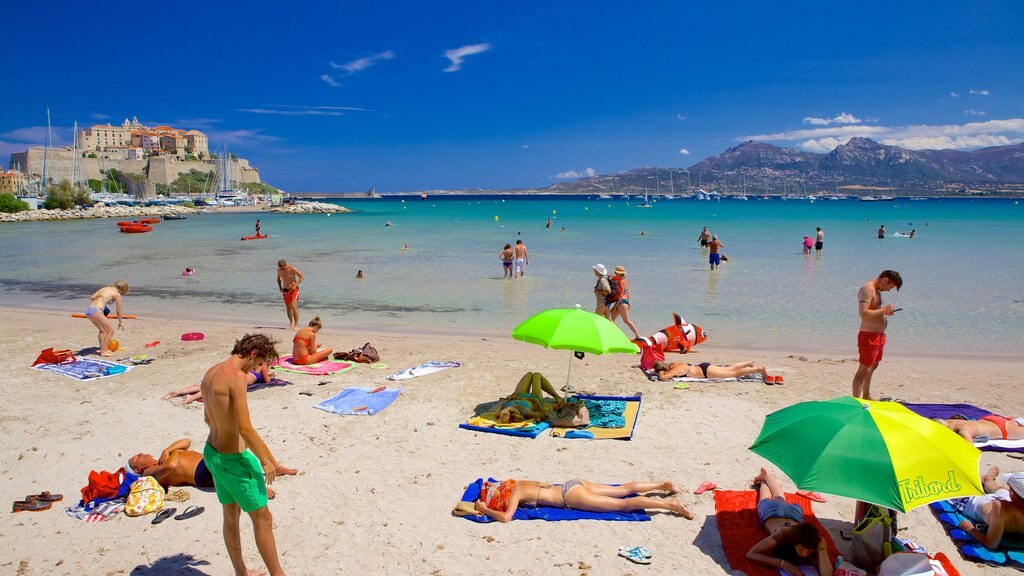 Calvi Beach showing a sandy beach as well as a large group of people