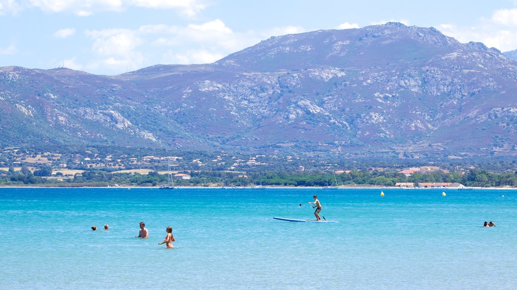 Playa de Calvi que incluye deportes acuáticos y vistas generales de la costa