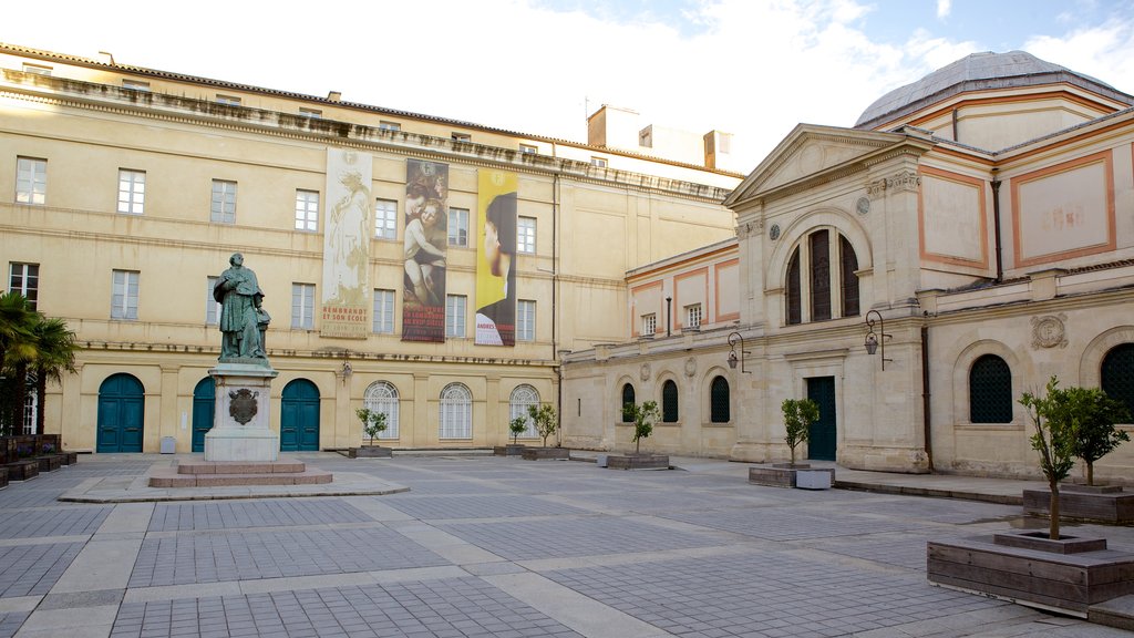 Musée Fesch que incluye una plaza