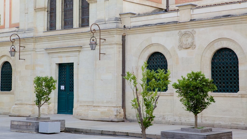 Musée Fesch que incluye arquitectura patrimonial