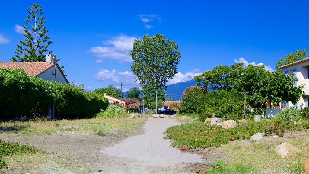 Playa de La Marana ofreciendo escenas urbanas y una pequeña ciudad o pueblo