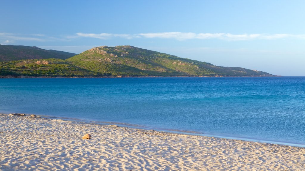 Plage de Balistra montrant plage de sable et vues littorales