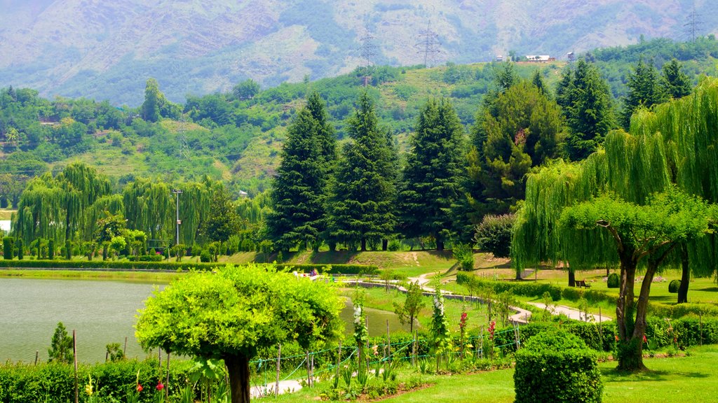 Botanical Garden showing a garden and a lake or waterhole