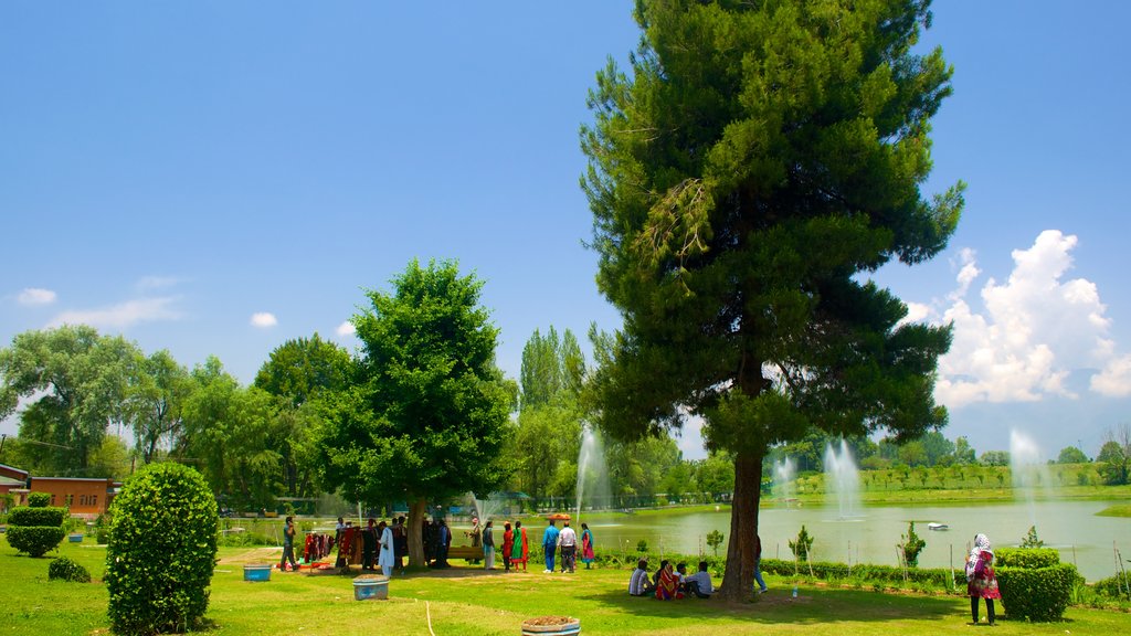 Jardin botanique montrant jardin