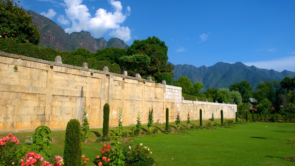 Mughal Gardens som viser en park