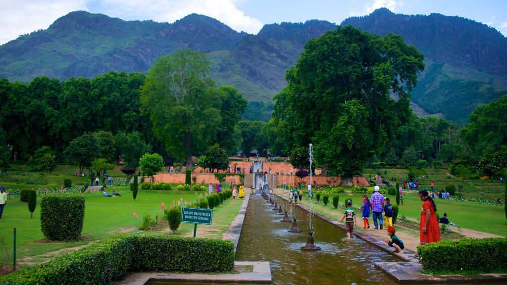 Mughal Gardens showing a fountain and a park