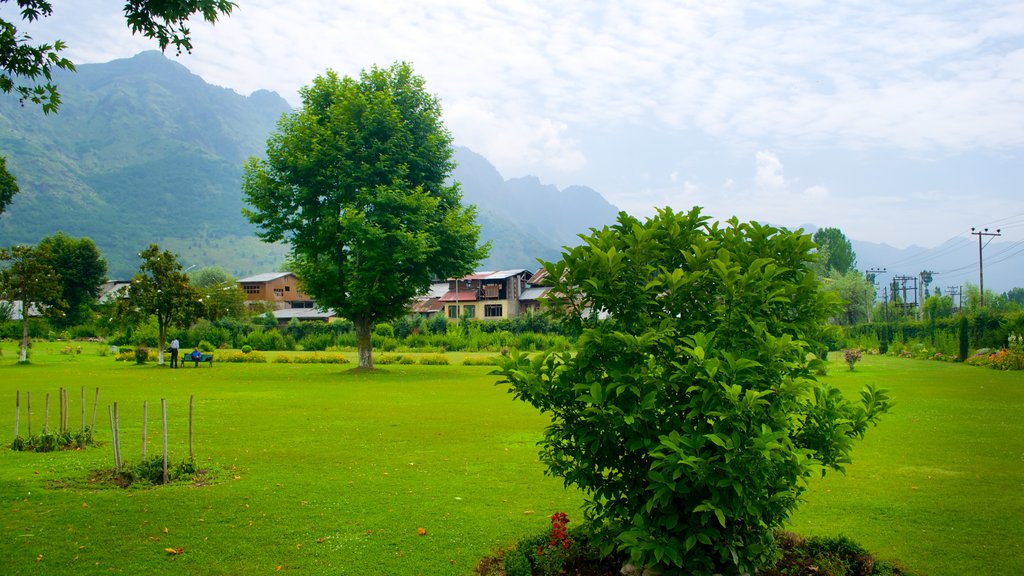 Shalimar Bagh showing a garden