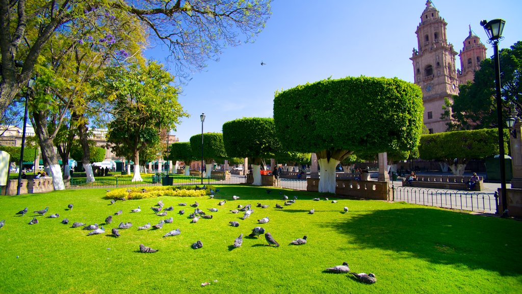 Plaza de Armas which includes a park and bird life