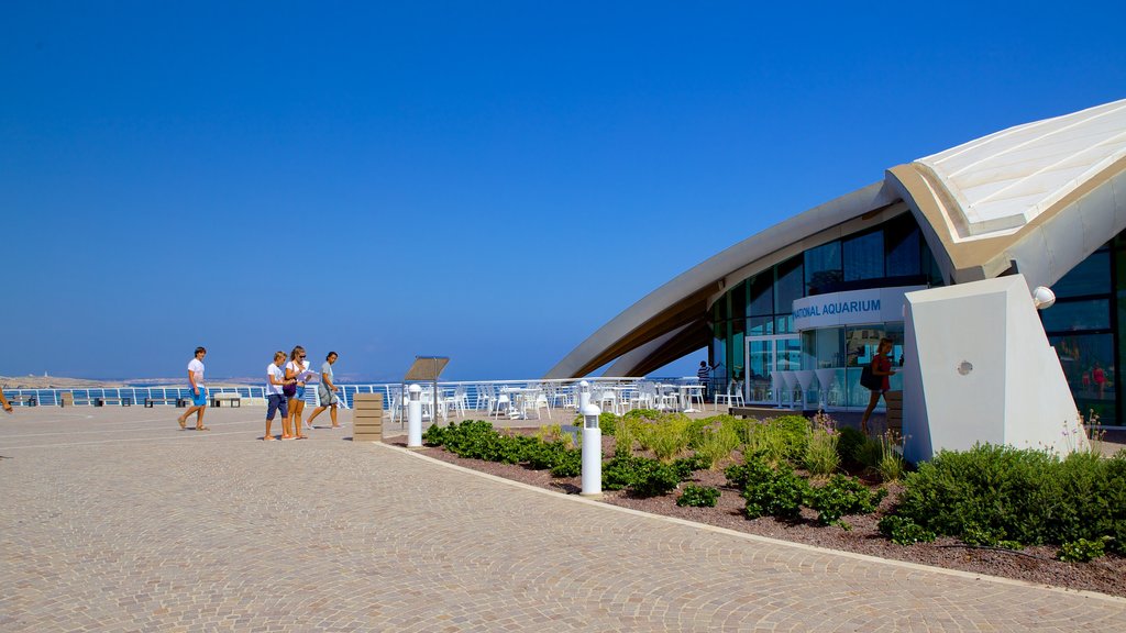 Malta National Aquarium mostrando arquitetura moderna e vida marinha