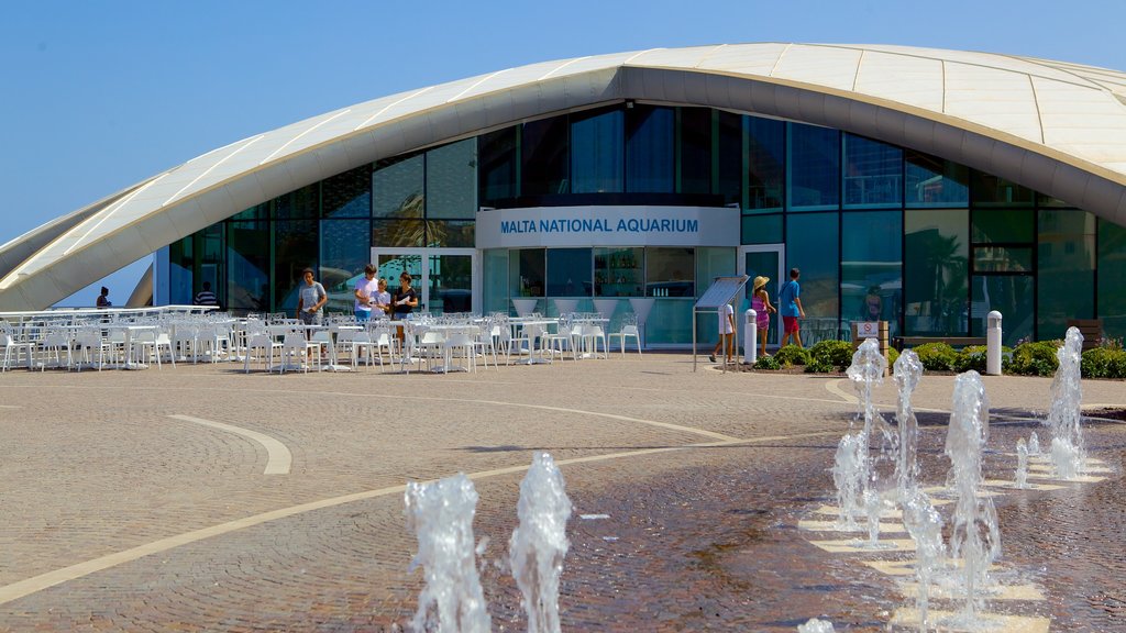 Nationaal aquarium van Malta bevat zeedieren, moderne architectuur en een fontein