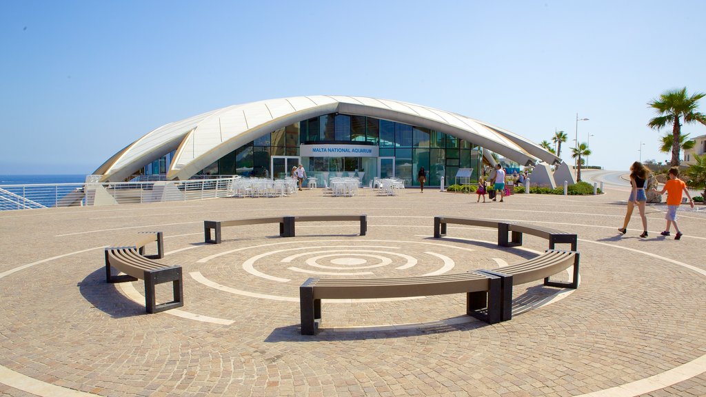 Acuario Nacional de Malta mostrando vida marina y arquitectura moderna