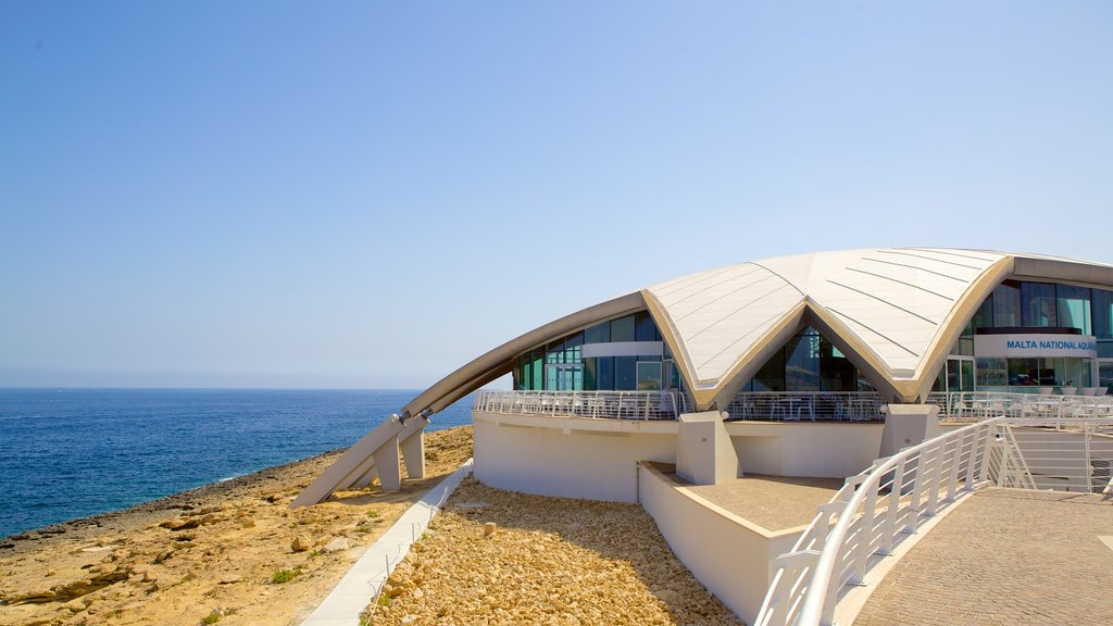 Nationaal aquarium van Malta toont zeedieren, moderne architectuur en algemene kustgezichten