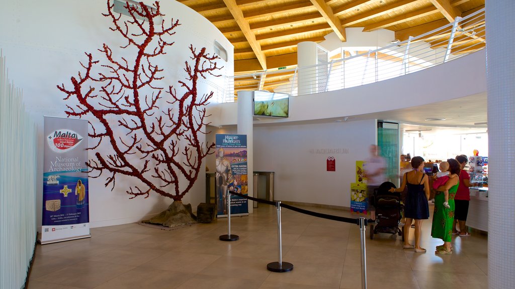 Malta National Aquarium showing marine life and interior views