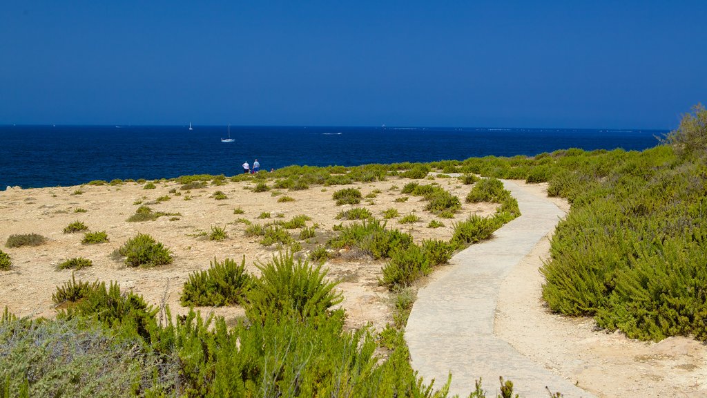 Bugibba Beach showing a beach and general coastal views