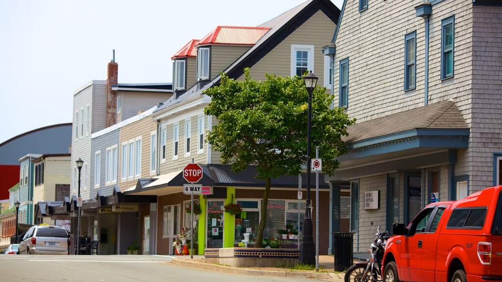 Dartmouth showing street scenes and a small town or village