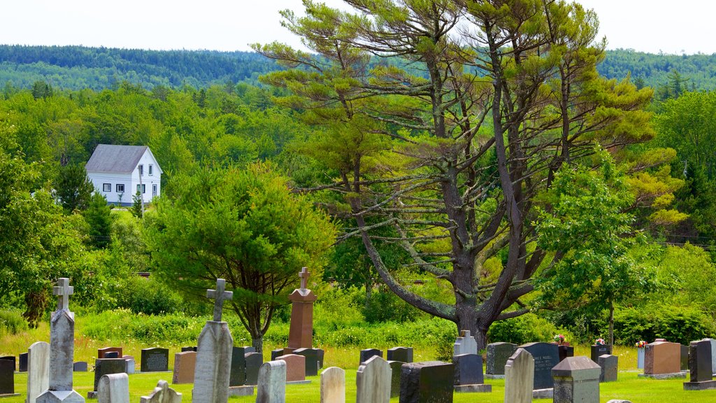 Enfield featuring a cemetery