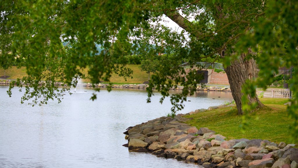 Sydney que incluye un lago o espejo de agua