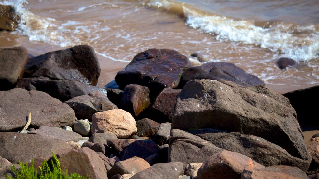 Ingonish showing rocky coastline